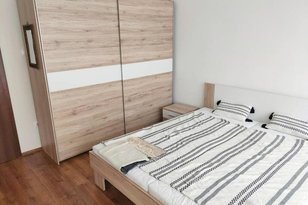 Plaza Apartman - City Center, Free Parking, Free Wifi Debrecen Luaran gambar
